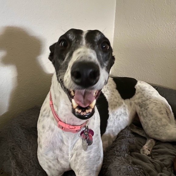 Meet your Posher, Catherine - Picture 3 of 8